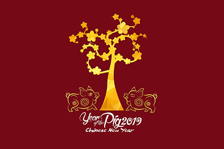 Happy New Year 2019 Happy New Year 2019